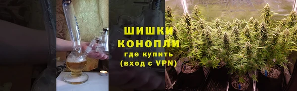 ГАЛЛЮЦИНОГЕННЫЕ ГРИБЫ Елабуга
