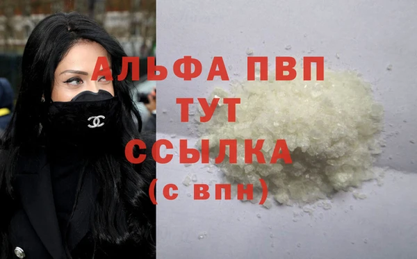 ГАЛЛЮЦИНОГЕННЫЕ ГРИБЫ Ельня