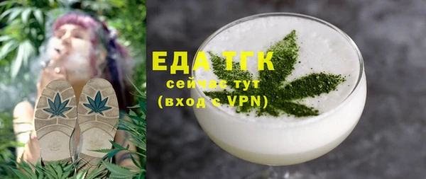 ГАЛЛЮЦИНОГЕННЫЕ ГРИБЫ Ельня