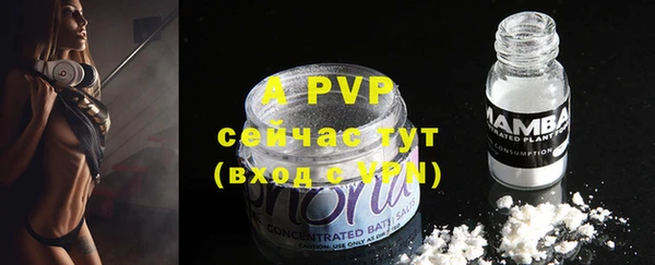 ГАЛЛЮЦИНОГЕННЫЕ ГРИБЫ Елабуга