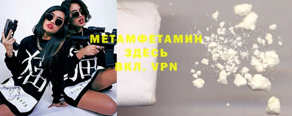 ГАЛЛЮЦИНОГЕННЫЕ ГРИБЫ Ельня
