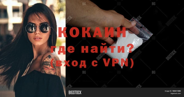 ГАЛЛЮЦИНОГЕННЫЕ ГРИБЫ Елабуга