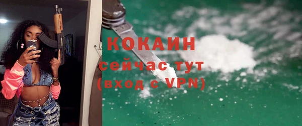 ГАЛЛЮЦИНОГЕННЫЕ ГРИБЫ Ельня
