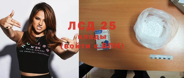 ГАЛЛЮЦИНОГЕННЫЕ ГРИБЫ Елабуга