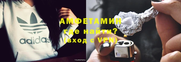 ГАЛЛЮЦИНОГЕННЫЕ ГРИБЫ Ельня