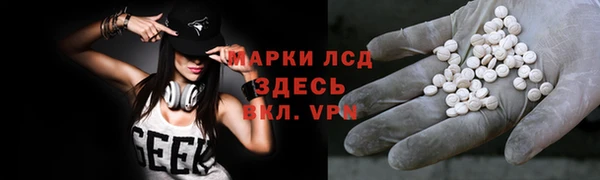 ГАЛЛЮЦИНОГЕННЫЕ ГРИБЫ Ельня