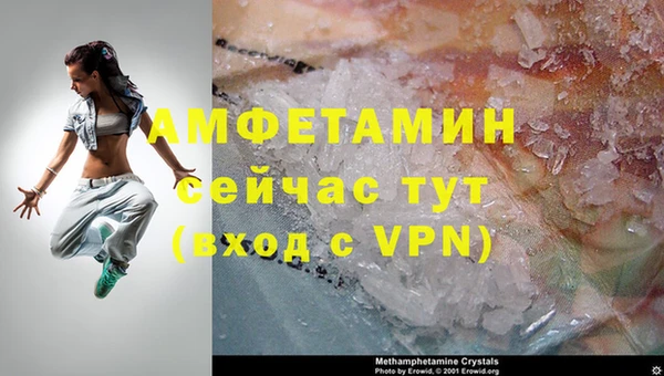 ГАЛЛЮЦИНОГЕННЫЕ ГРИБЫ Ельня
