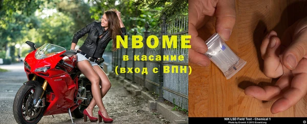 ГАЛЛЮЦИНОГЕННЫЕ ГРИБЫ Ельня