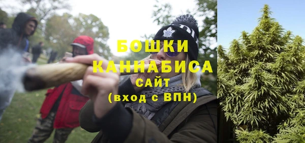 винт Елизово