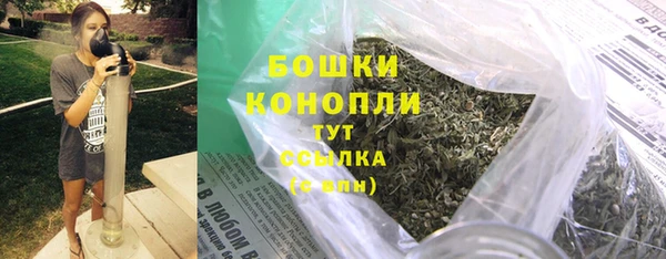 ГАЛЛЮЦИНОГЕННЫЕ ГРИБЫ Ельня