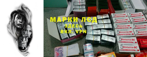 ГАЛЛЮЦИНОГЕННЫЕ ГРИБЫ Елабуга