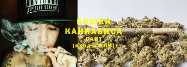 ГАЛЛЮЦИНОГЕННЫЕ ГРИБЫ Елабуга