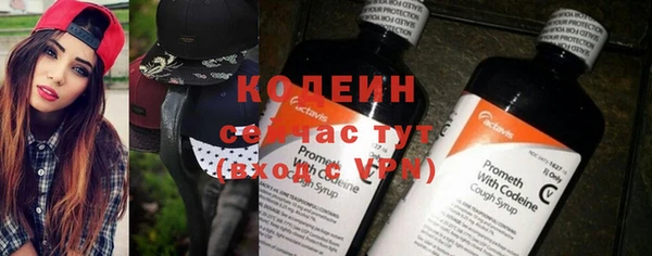 ГАЛЛЮЦИНОГЕННЫЕ ГРИБЫ Елабуга